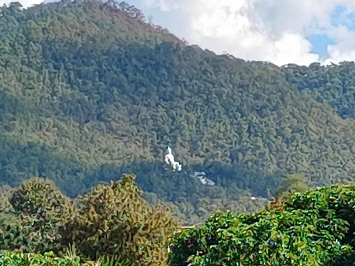 Sunny Tayai Hostel Pai